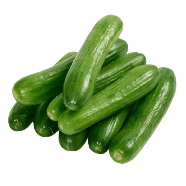 Persian Cucumbers, 1lb